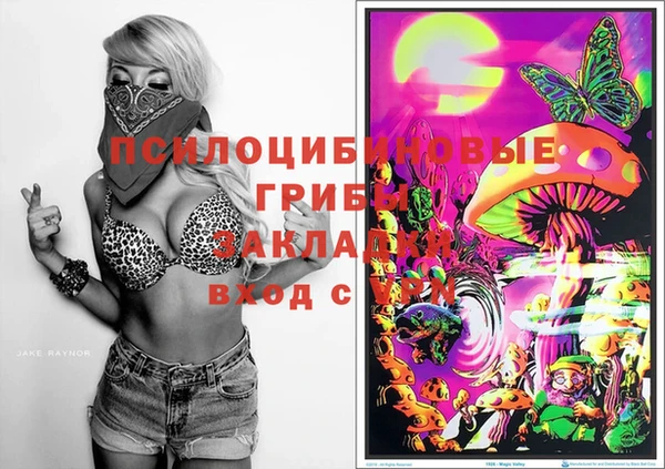 MDMA Premium VHQ Белокуриха