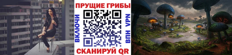 наркота  omg ССЫЛКА  Псилоцибиновые грибы ЛСД  Можайск 